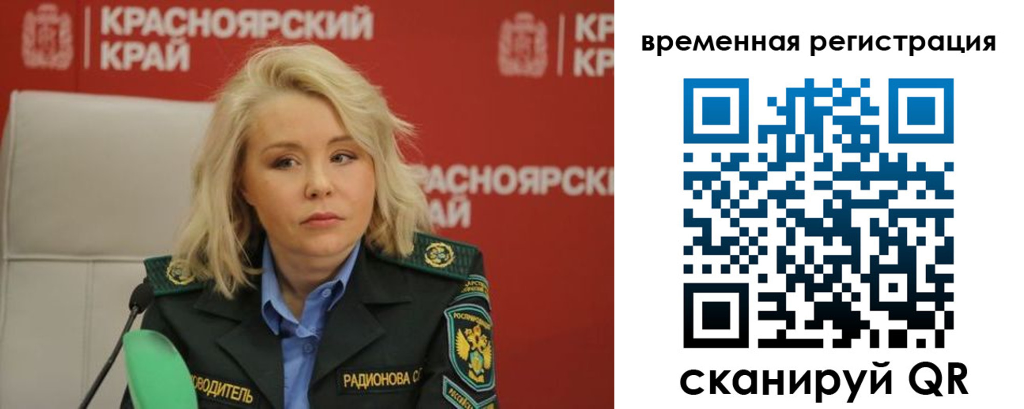 прописка поиск в Светлогорске