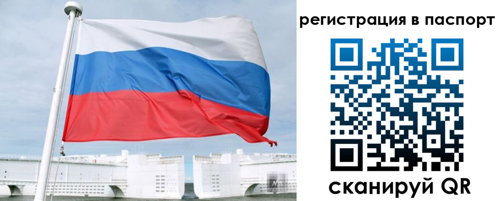 регистрация в Светлогорске