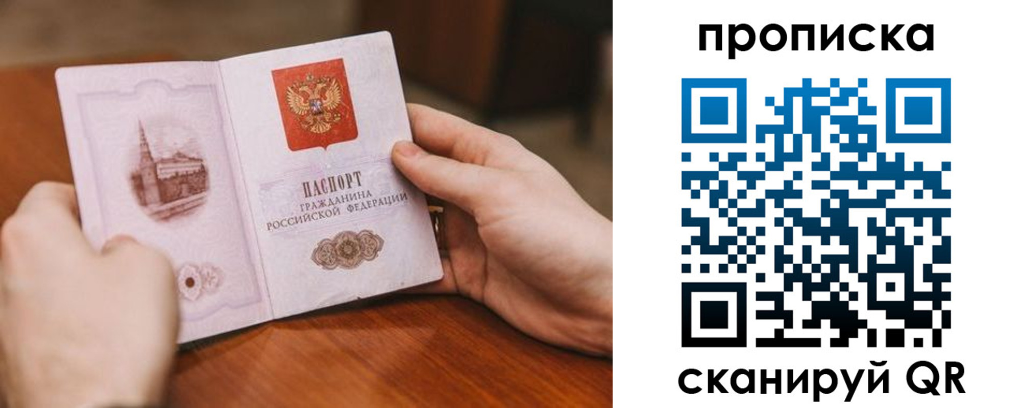 прописка в квартире в Светлогорске